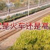 高铁z开头的是什么车(07/03更新)