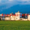通向地底乐园怎么抓俘虏