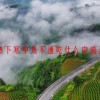 上热下寒中焦不通吃什么中成药效果最好