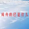 木已成舟的已是什么意思