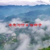 老虎为什么怕狮子(06/23更新)