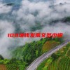 100块钱发票交多少税(06/19更新)
