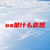 oa是什么意思(07/03更新)