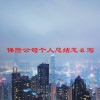保险公司个人总结怎么写