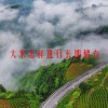 大米怎样进行长期储存(06/19更新)