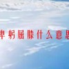 卑躬屈膝什么意思(07/05更新)