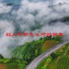 别人夸赞怎么巧妙回复(06/20更新)