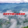 刘洋芝芝是什么电视剧(06/20更新)