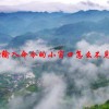 cad输入命令的小窗口怎么不见了
