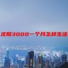 沈阳3000一个月怎样生活