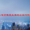 江峰方雅雯主角的小说叫什么