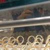 银子价格今天多少一克(07/04更新)