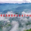 等星星坠落女主发生了什么