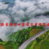 2011款雪铁龙世嘉前上中网怎么安装