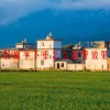 屁股扁平下垂怎么提臀效果好