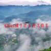 宋plus属于什么档次的车